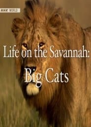 Watch Life on the Savannah: Big Cats