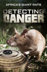 Watch Detecting Danger: Africa's Giant Rats