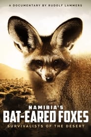 Watch Namibia's Bat-eared Foxes: Survivalists of the Desert