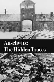 Watch Auschwitz: The Hidden Traces