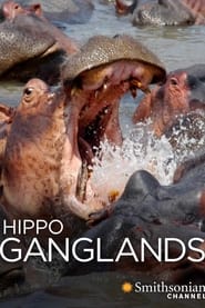 Watch Hippo Ganglands