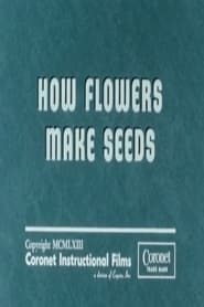 Watch How Flowers Make Seeds