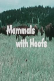 Watch Mammals With Hoofs