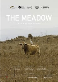 Watch The Meadow
