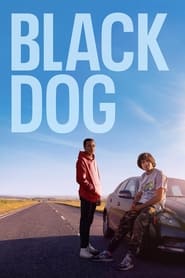 Watch Black Dog