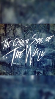 Watch The Other Side of the Wall