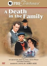 Watch A Death in the Family