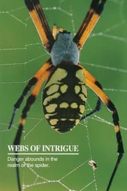 Watch Webs of Intrigue