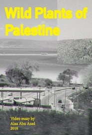 Watch Wild Plants of Palestine