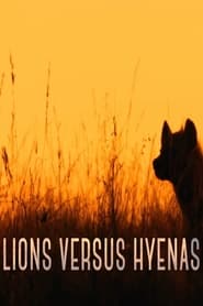 Watch Lions versus Hyenas