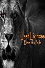 Watch The Last Lioness: Birth of a Pride