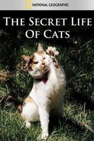 Watch The Secret Life of Cats