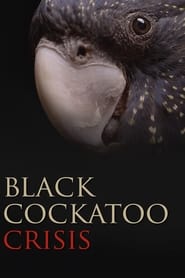 Watch Black Cockatoo Crisis