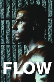 Watch Flow