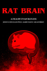 Watch Rat Brain