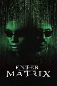 Watch Making 'Enter the Matrix'