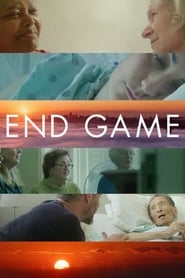 Watch End Game