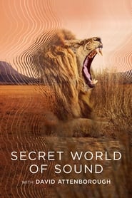 Watch Secret World of Sound