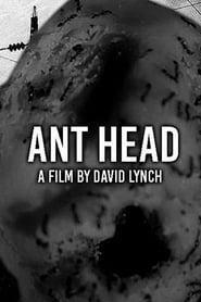 Watch Ant Head