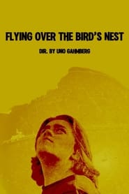 Watch Flying Over The Bird's Nest