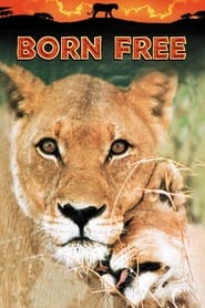 Watch Born Free