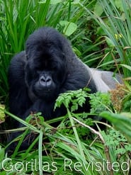 Watch Gorillas Revisited with Sir David Attenborough