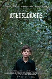 Watch Wildflowers