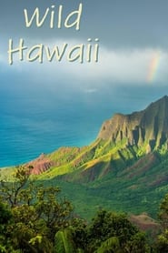 Watch Wild Hawaii