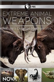 Watch Extreme Animal Weapons