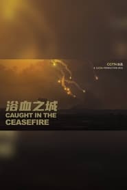 Watch Caught in the ceasefire