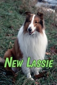 Watch The New Lassie