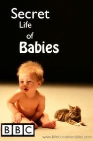 Watch Secret Life of Babies