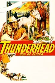 Watch Thunderhead - Son of Flicka