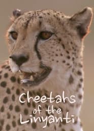 Watch Cheetahs of the Linyanti