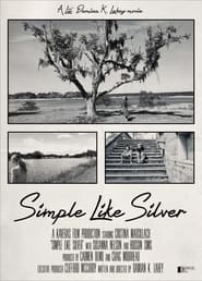 Watch Simple Like Silver