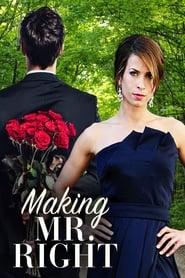 Watch Making Mr. Right