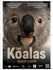 Watch The Koalas