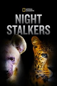 Watch Night Stalkers