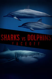 Watch Sharks Vs. Dolphins: Face Off