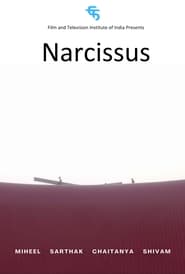 Watch Narcissus