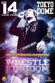 Watch NJPW Wrestle Kingdom 13