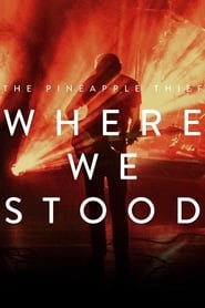 Watch The Pineapple Thief: Where We Stood