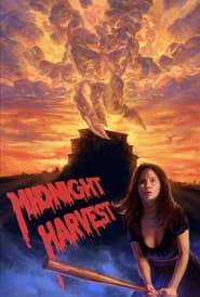 Watch Midnight Harvest