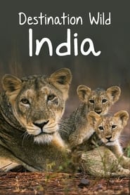 Watch Destination Wild: India