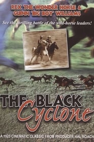 Watch Black Cyclone