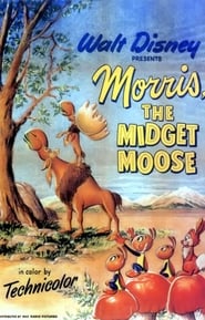 Watch Morris the Midget Moose