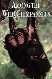 Watch Among the Wild Chimpanzees