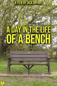 Watch A Day in the Life of a Bench