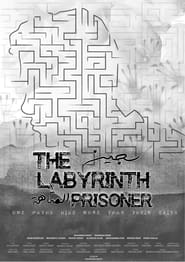 Watch The Labyrinth Prisoner