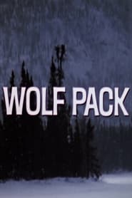 Watch Wolf Pack